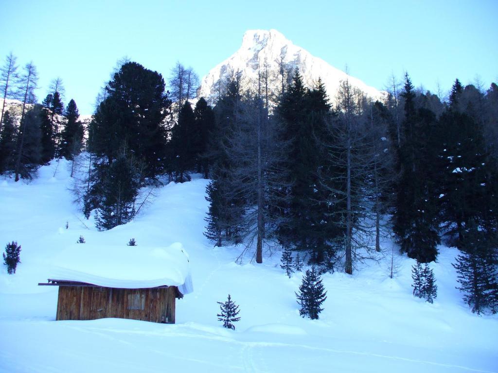 Hotel El Geiger Pozza di Fassa Ngoại thất bức ảnh